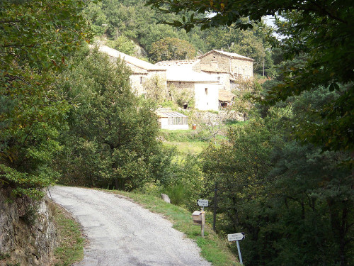 Combe de Reynier 1